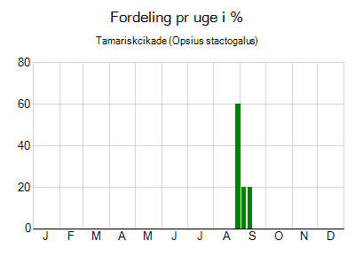 Tamariskcikade - ugentlig fordeling