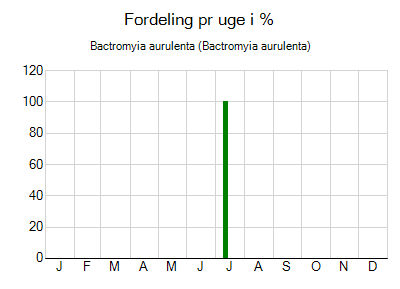 Bactromyia aurulenta - ugentlig fordeling