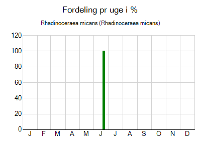 Rhadinoceraea micans - ugentlig fordeling