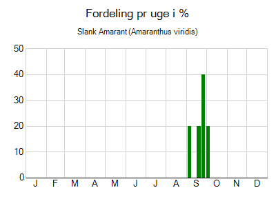 Slank Amarant - ugentlig fordeling