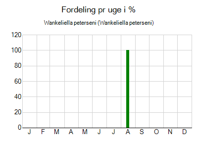 Wankeliella peterseni - ugentlig fordeling