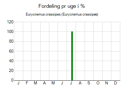 Eurycnemus crassipes - ugentlig fordeling