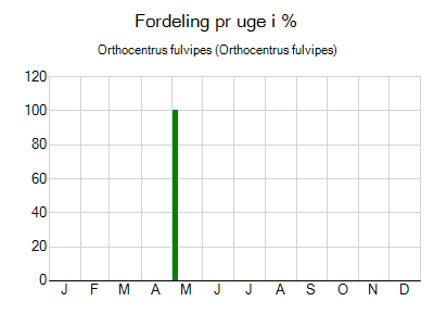 Orthocentrus fulvipes - ugentlig fordeling