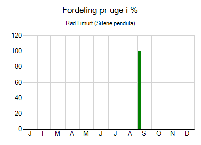 Rød Limurt - ugentlig fordeling