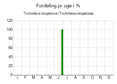 Tricholabus strigatorius - ugentlig fordeling