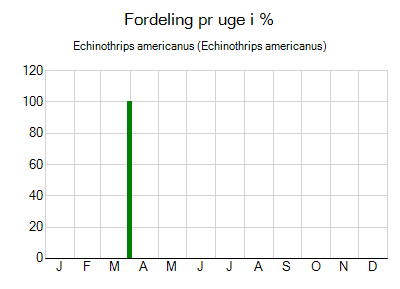 Echinothrips americanus - ugentlig fordeling