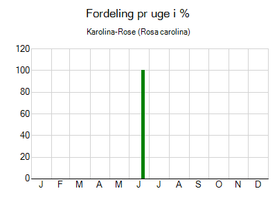 Karolina-Rose - ugentlig fordeling