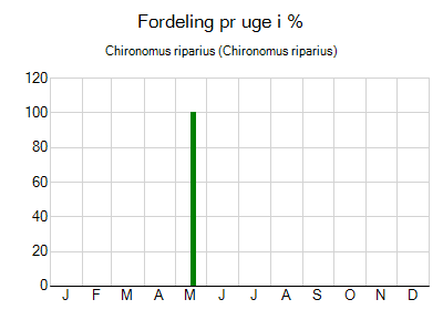 Chironomus riparius - ugentlig fordeling