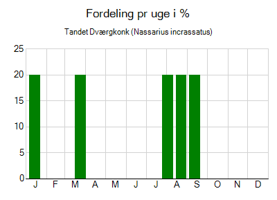 Tandet Dværgkonk - ugentlig fordeling