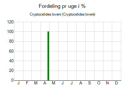 Cryptocelides loveni - ugentlig fordeling