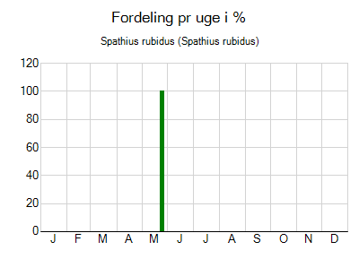 Spathius rubidus - ugentlig fordeling