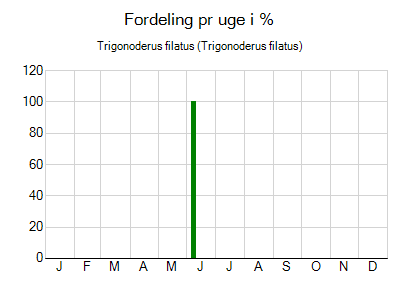 Trigonoderus filatus - ugentlig fordeling