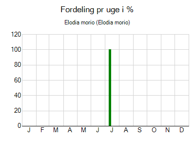 Elodia morio - ugentlig fordeling