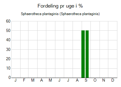 Sphaerotheca plantaginis - ugentlig fordeling