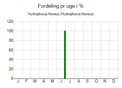 Hydrophorus litoreus - ugentlig fordeling