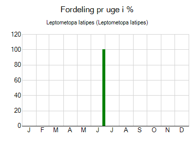 Leptometopa latipes - ugentlig fordeling