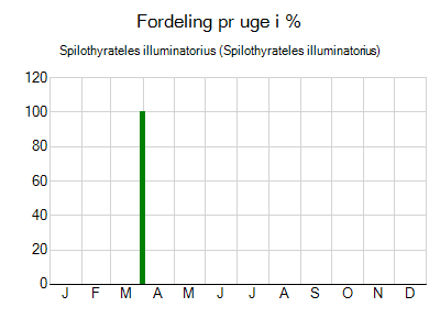 Spilothyrateles illuminatorius - ugentlig fordeling