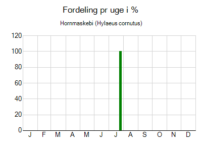 Hornmaskebi - ugentlig fordeling