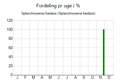 Splanchnonema foedans - ugentlig fordeling