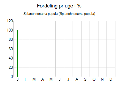 Splanchnonema pupula - ugentlig fordeling