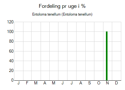 Entoloma tenellum - ugentlig fordeling