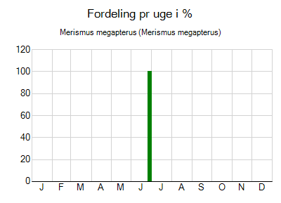 Merismus megapterus - ugentlig fordeling