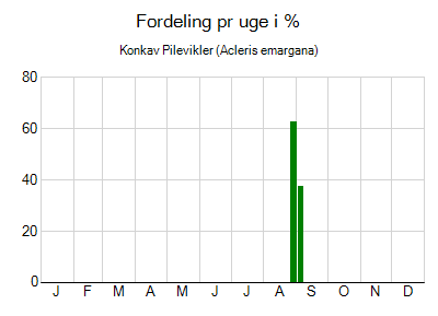 Konkav Pilevikler - ugentlig fordeling