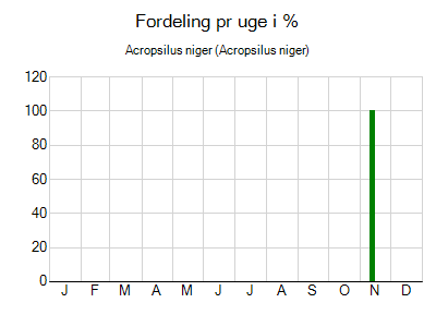 Acropsilus niger - ugentlig fordeling