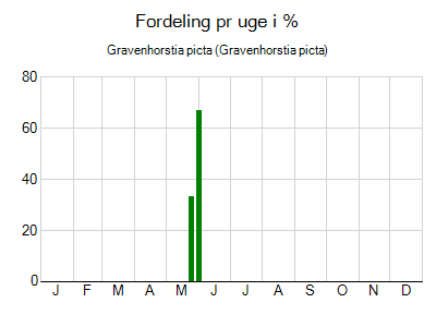 Gravenhorstia picta - ugentlig fordeling