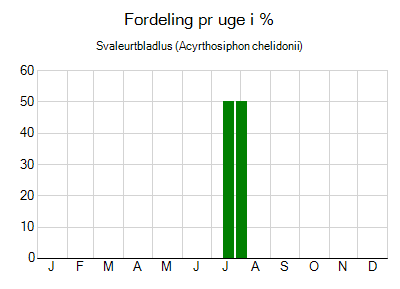 Svaleurtbladlus - ugentlig fordeling