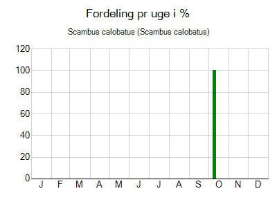 Scambus calobatus - ugentlig fordeling