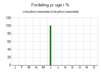 Liotryphon crassiseta - ugentlig fordeling