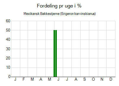 Mexikansk Bakkestjerne - ugentlig fordeling