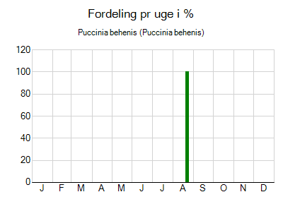 Puccinia behenis - ugentlig fordeling