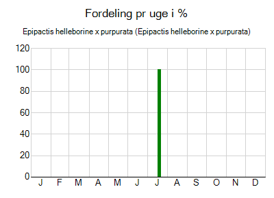 Epipactis helleborine x purpurata - ugentlig fordeling