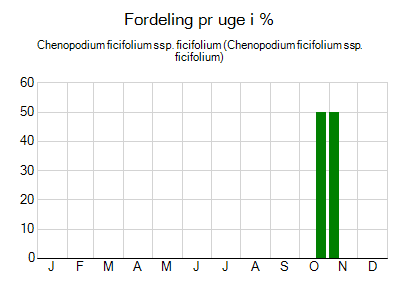 Chenopodium ficifolium ssp. ficifolium - ugentlig fordeling