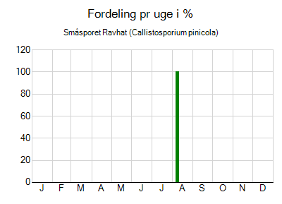 Småsporet Ravhat - ugentlig fordeling