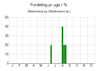 Dendrocerus sp. - ugentlig fordeling