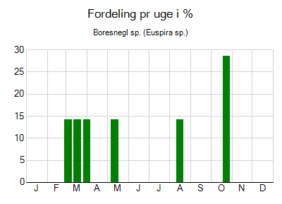 Boresnegl sp. - ugentlig fordeling