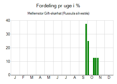 Mellemstor Gift-skørhat - ugentlig fordeling