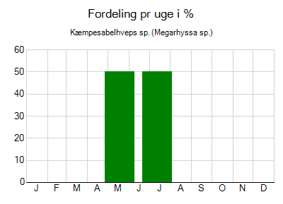 Kæmpesabelhveps sp. - ugentlig fordeling