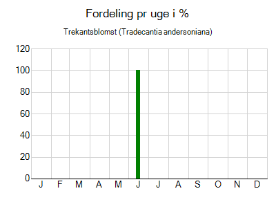 Trekantsblomst - ugentlig fordeling