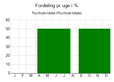 Psychoda lobata - ugentlig fordeling