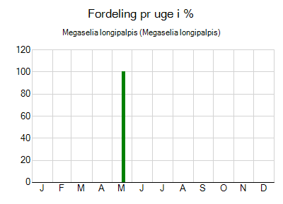 Megaselia longipalpis - ugentlig fordeling