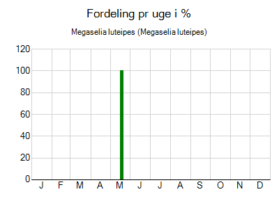 Megaselia luteipes - ugentlig fordeling