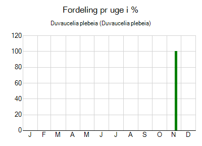 Duvaucelia plebeia - ugentlig fordeling