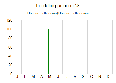 Obrium cantharinum - ugentlig fordeling