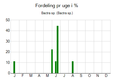 Bactra sp. - ugentlig fordeling