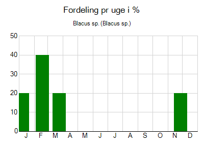 Blacus sp. - ugentlig fordeling