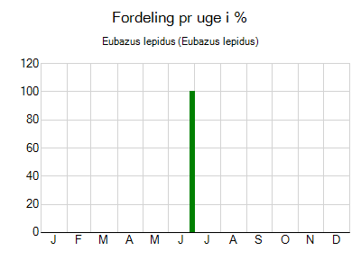 Eubazus lepidus - ugentlig fordeling